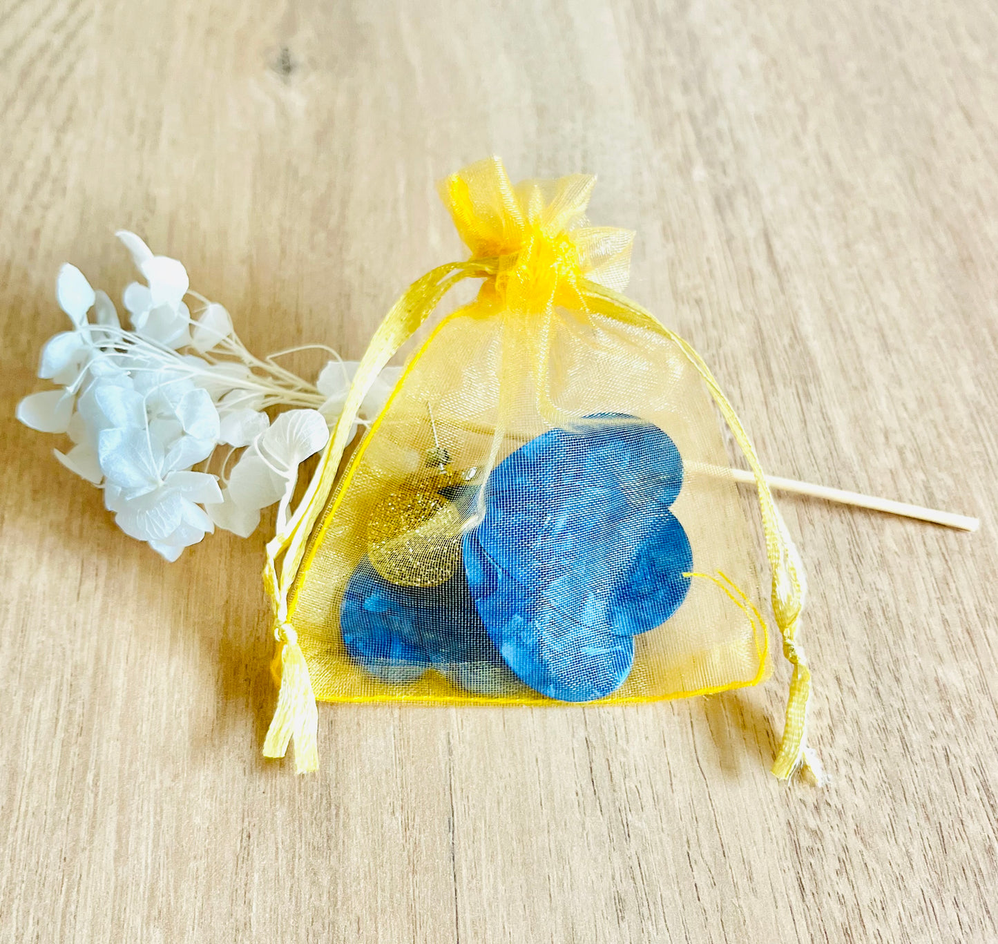 Boucles d’oreilles ASSON