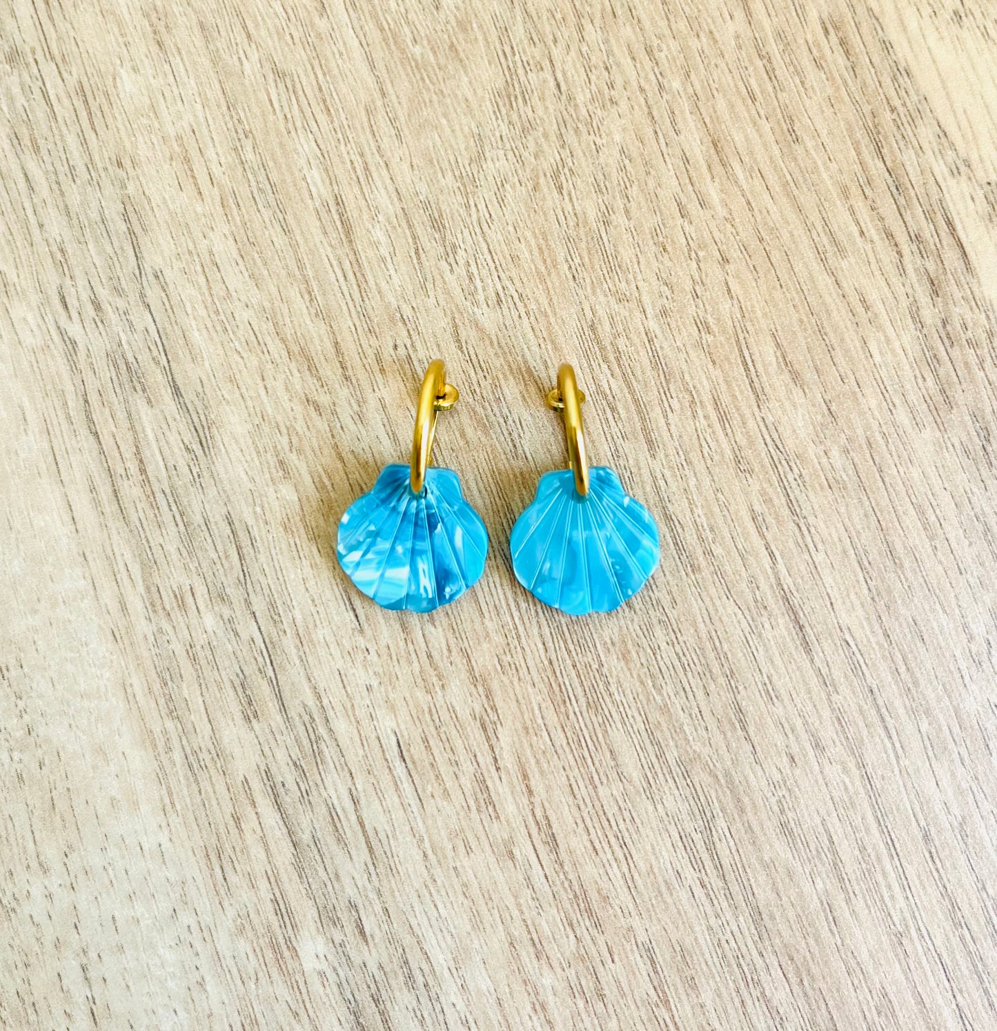 Boucles d'oreilles SOCOA - Clips