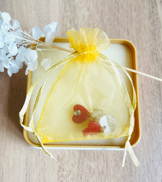 Boucles d’oreilles LABENNE