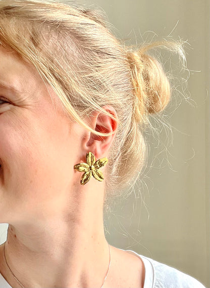 Boucles d’oreilles ASCAIN