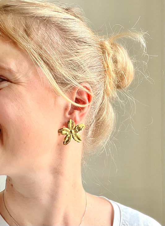 Boucles d’oreilles ASCAIN