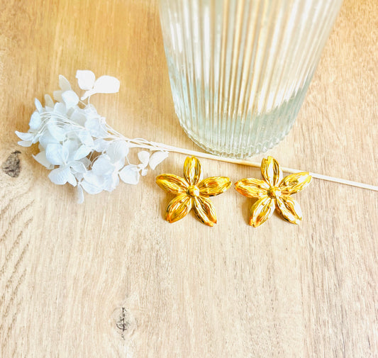 Boucles d’oreilles ASCAIN