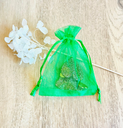 Boucles d’oreilles ACCOUS