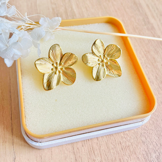 Boucles d’oreilles LÉON- Clips